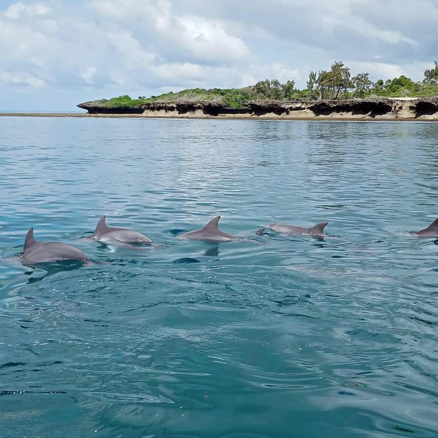 Wasini Raha Snorkeling And Diving Apartment Ngoại thất bức ảnh
