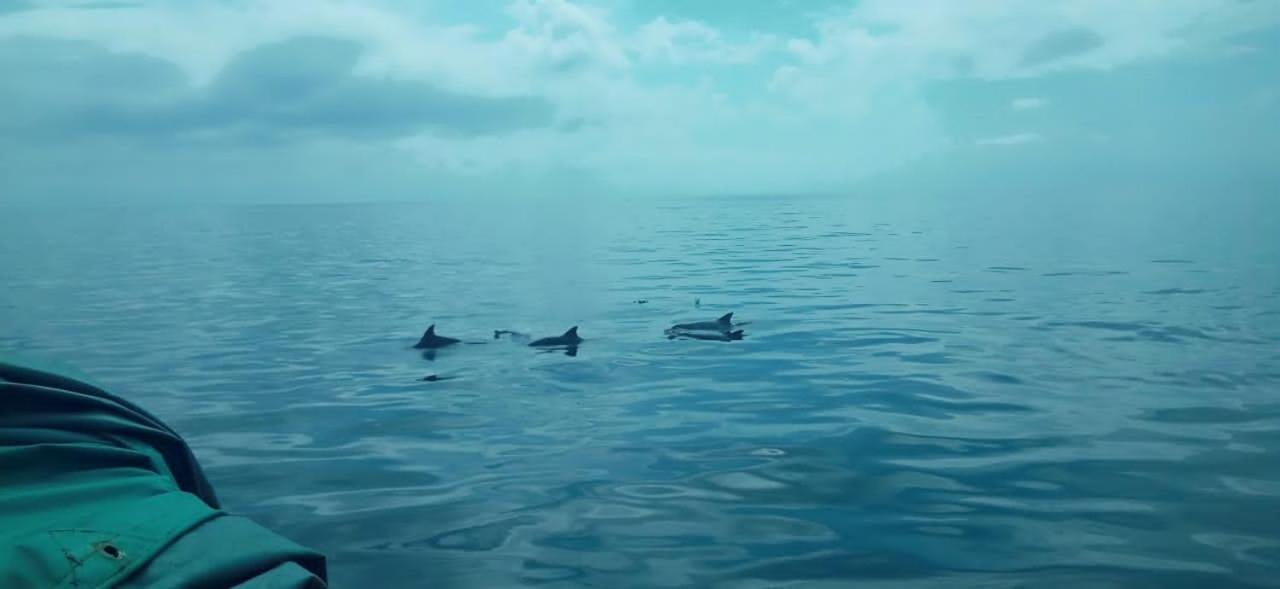 Wasini Raha Snorkeling And Diving Apartment Ngoại thất bức ảnh